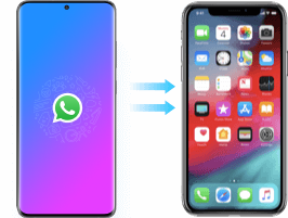 whatsapp from Samsung to iphone