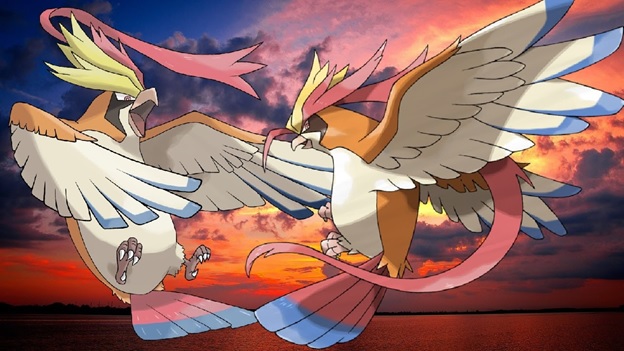 Mega Pidgeot pic 2