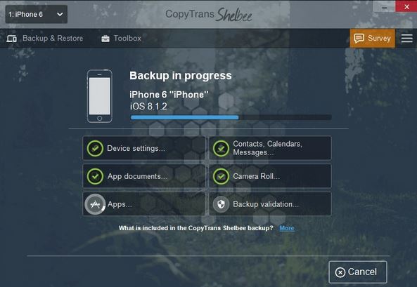 CopyTrans iPhone Backup Software<
