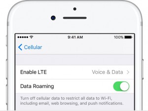 enable data roaming