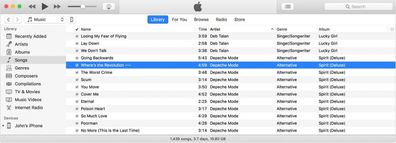 music in itunes library