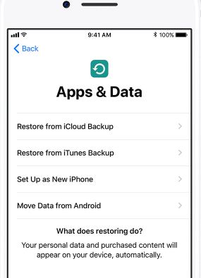 restore data from itunes to iPhone XS (Max)