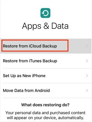 ios 12 data recovery-Restore from iCloud Backup