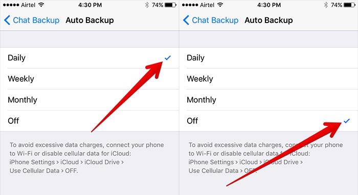ios 12 whatsapp problems and solutions-Turn off the Auto backup option
