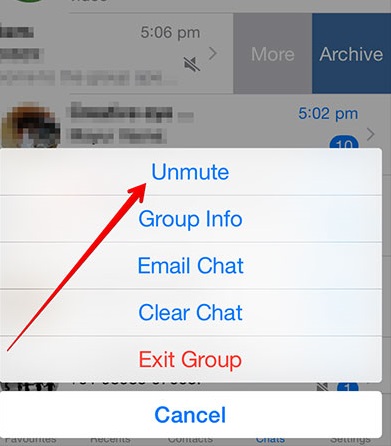 ios 12 whatsapp problems and solutions-Un-mute group notifications