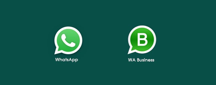 use two whatsapp on iphone 1