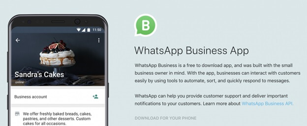 whatsapp business pic