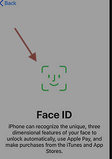 Figure 8 set face ID