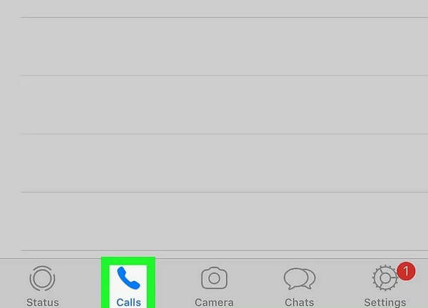 tap on calls from whatsapp