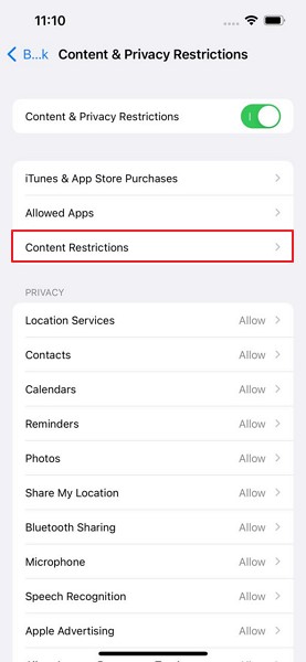 tap on content restrictions option