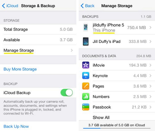 Transfer Music from iPhone to iCloud - turn on or off the data you want backed up
