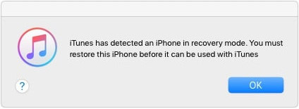 iOS 15 downgrade problem - process stuck