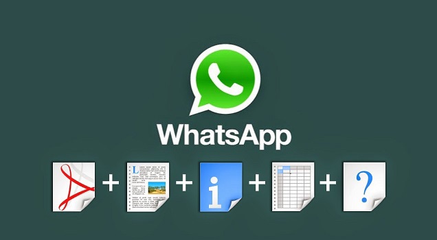 whatsapp tricks and tips-share Large Files