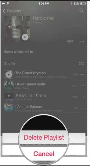 Delete Playlist from iPhone - Confirm Deletion