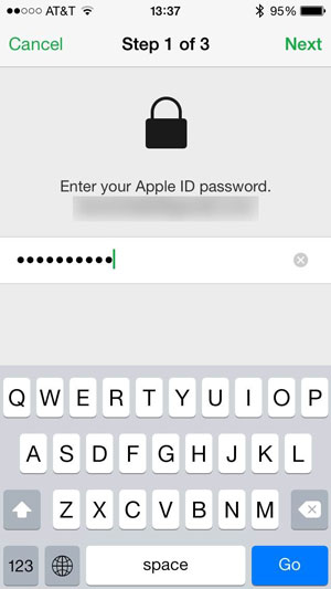 enter apple id erase iphone