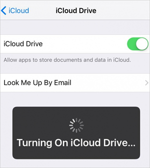 Sync Notes from iPhone to iPad Using iCloud - step 2: Turn on iCloud Drive