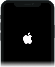 iPhone black screen